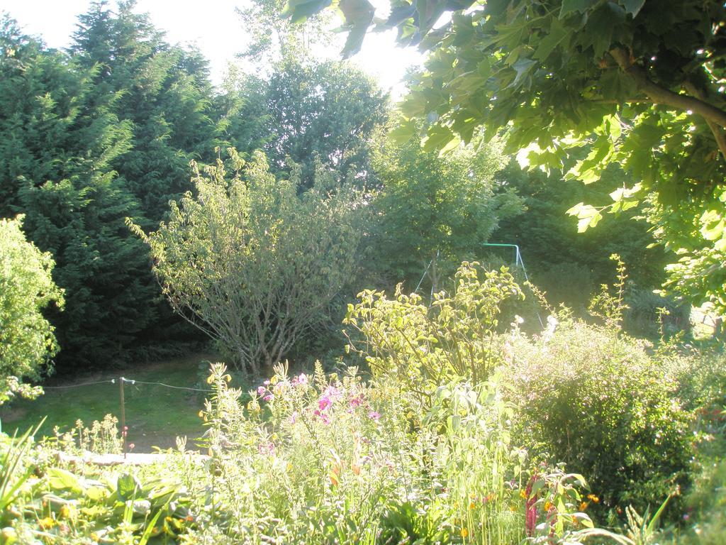 La Ferme De Leychoisier Bed & Breakfast Bonnac-la-Cote Exterior photo
